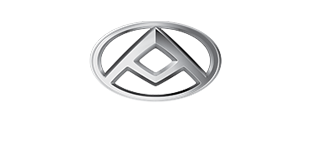 ldv logo