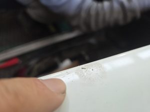 Ford Ranger XLT White Smash repair dents PDR Dah Cheong Sydney damage dent inspection