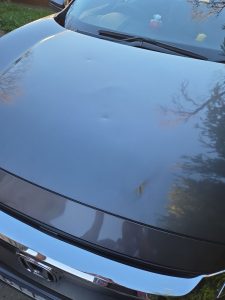 honda civic fc sedan dent repair dah cheong sydney close up
