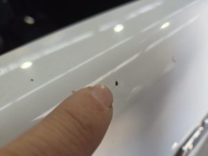 Ford Ranger XLT White Smash repair dents PDR Dah Cheong Sydney damage dent inspection